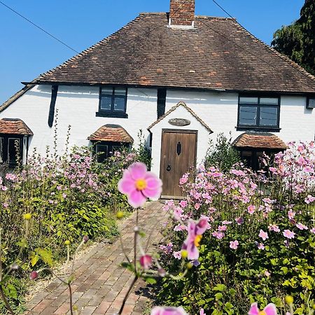Villa Local Walks Pub Gardens Pet Friendly Landscaped Gardens And Free Private Parking Doddington  Exterior foto
